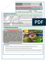 Módulo N°33 FX Nutricion-Eda Vii