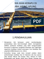 Kerapu Bangka Barat 2022