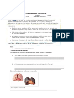 Guía 5° Básico Consumo de Tabaquismo