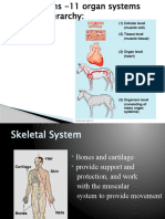 Bio Study