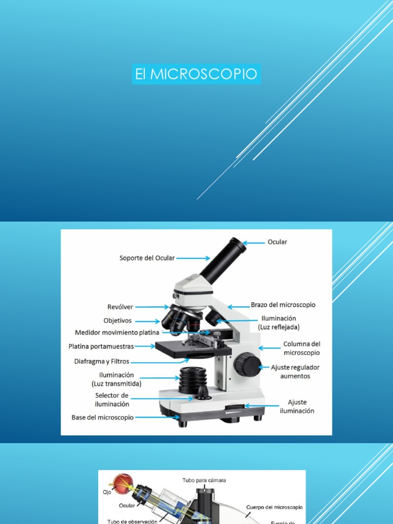 Técnicas Avanzadas de Microscopía | PDF | Óptica | Electrón