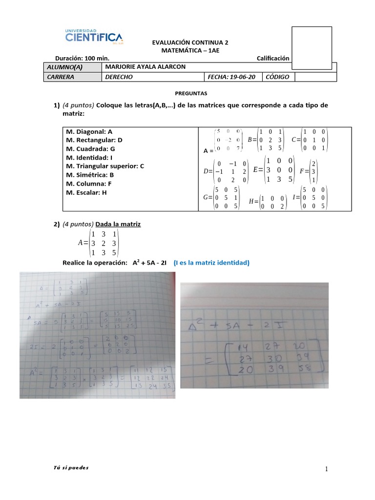 Evaluación de Matrices en Matemáticas | PDF | Matriz (Matemáticas ...
