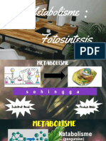 Metabolism e