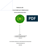 Makalah Anafis Sistem Reproduksi Pria