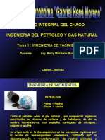 Ingeniería de yacimientos de petróleo y gas natural