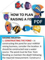 How To Plan Raising A Fish