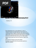 Adult TTE Echocardiography Protocol | PDF | Heart Valve | Echocardiography