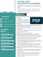 Curriculum Vitae - Victor Valenzuela