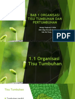 BIO_T5_KSSM_BAB_1_Organisasi_Tisu_Tumbuhan_dan_Pertumbuhan