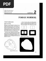 Camargo Ulloa | PDF