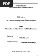 Download Mmoire Amin-Prparation et Prsentation des etats financiers by Amin Smaoui SN60195663 doc pdf