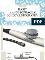 Basic Transesophageal Echocardiography