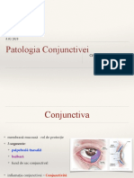 Conjunctiva