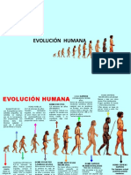 Evolucion Humana