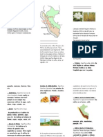 Triptico Las Regiones Naturales Del Perú y Sus Recursos - Luz Angelica Villanueva Escalante