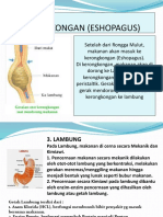 Organ Pencernaan Manusia 2