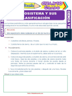 Ecosistemas: clasificación y elementos