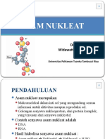 ASAM NUKLEAT-new1