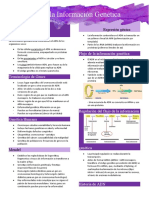 C1&2. Flujo de La Información Genética