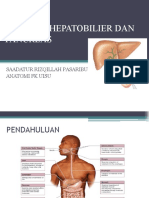 Sistem Hepatobilier Dan Pancreas 2021