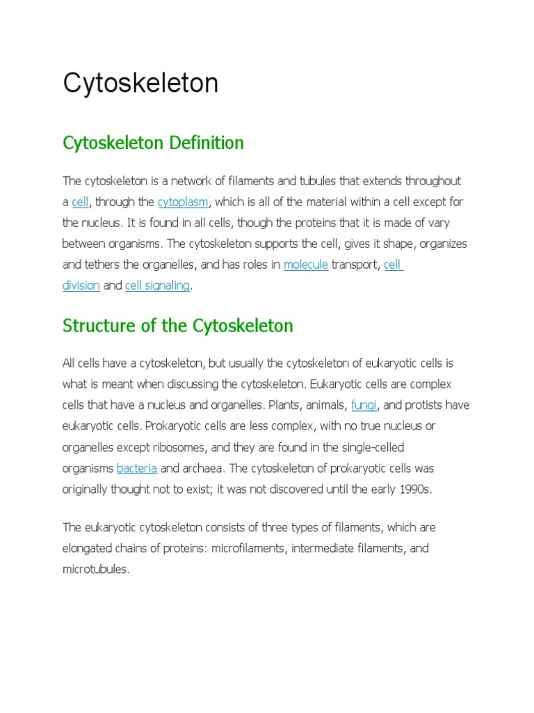 Unlocking Cell Secrets The Cytoskeleton Structure Function Guide - kqhkcxz