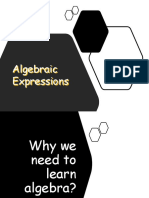 1 Simplifying Algebraic Expressions 20-21
