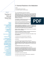 Chemical Reactions in The Metabolism - Functions of Cells and Human Body