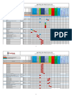 Formato-Matriz de Protocolos