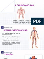 Sistema Cardiovascular: Curso: Anatomía Y Fisiología Docente: Lic. Stephani Chavez