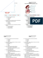 Evaluacion Srespiratorio Segundo