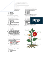 Evaluacion de Las Plantas