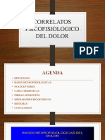 Bases Neurofisiologicas Del Dolor