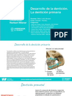 Desarrollo de La Dentición