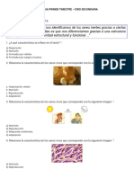 Biologia Primer Timestre