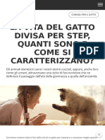 Vita Del Gatto Scopri Le Sue Fasi Di Crescita Frontline