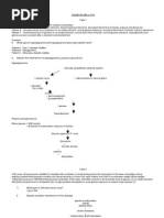 Cases.Diabetes Mellistus & Endocrine