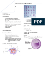 Perinatal Period