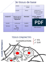 Aula 3 TConjuntivosMoles