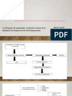 Retrotrasposones en La Placenta