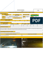 Reporte Preliminar - Luna de Camioneta