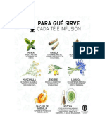 Las Plantas Medicinales Pueden Ayudarnos Con Pequeñas Dolencias y Además Nos Proporcionan Un Jardín Lleno de Aroma Que Revive A Cualquiera