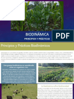 Principios Biodinámica