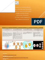 Ciclo celular, mitosis, meiosis y citocinesis