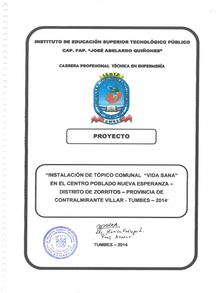 Instalación de Tópico Comunal - Vida Sana | PDF