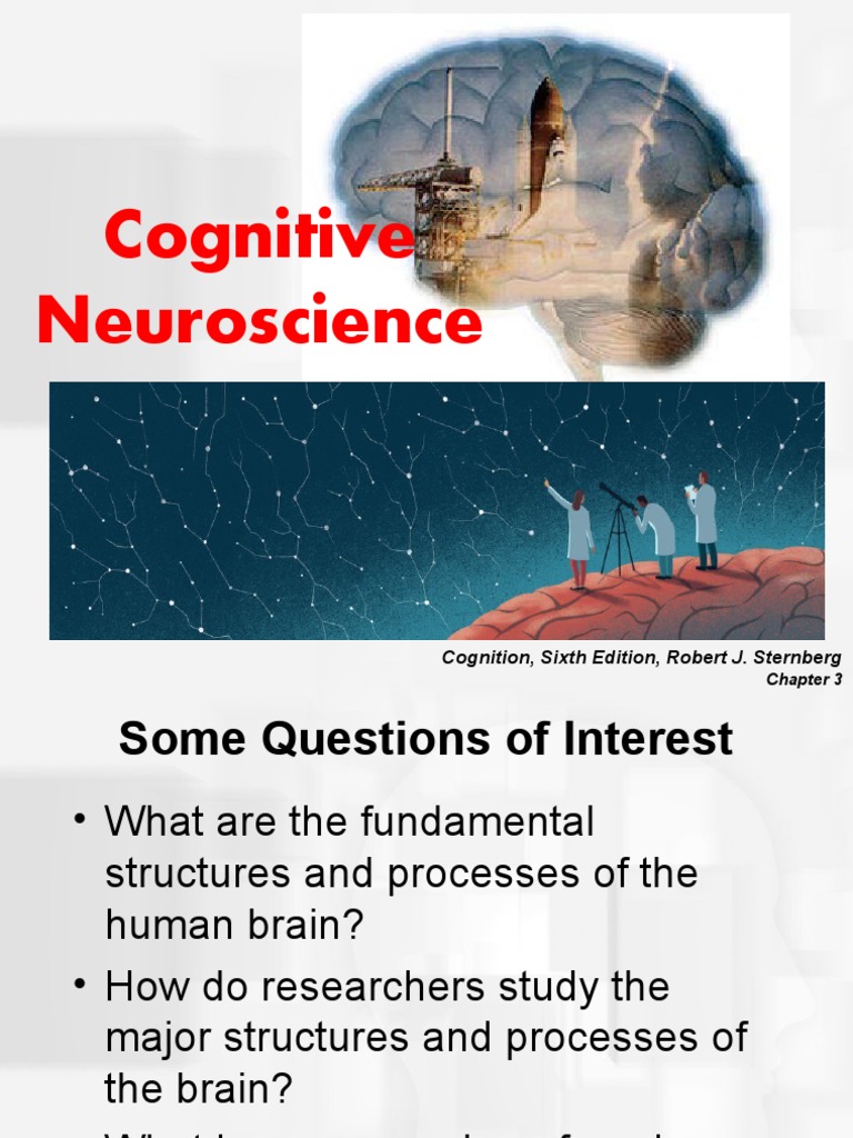 Cognitive Neuroscience Overview | PDF | Limbic System | Brain