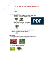 Tema 2 Las Plantas y Animales SM Savia 4º Primaria