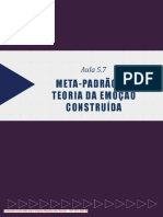 5 7Meta-PadroeaTeoriadaEmooConstruda