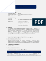 Guía de Prácticas Presencial Asignaturas Modelo Híbrido - TProyectivas