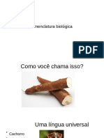 Nomenclatura Novo