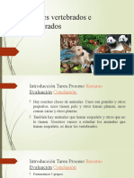 Animales Vertebrados e Invertebrados WEBQUEST